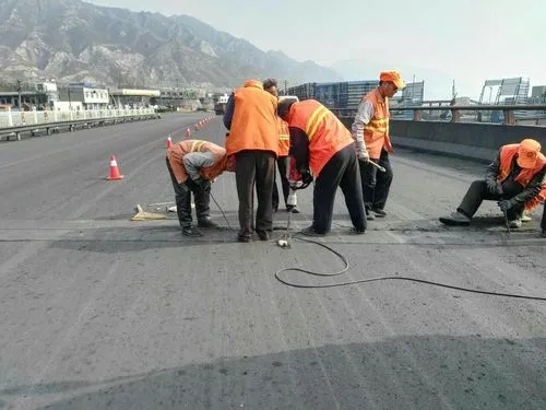 南木林道路桥梁病害治理